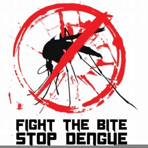 FIGHT THE BITE STOP DENGUE